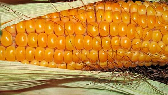 Was man bei der ketogenen Diät nicht essen sollte